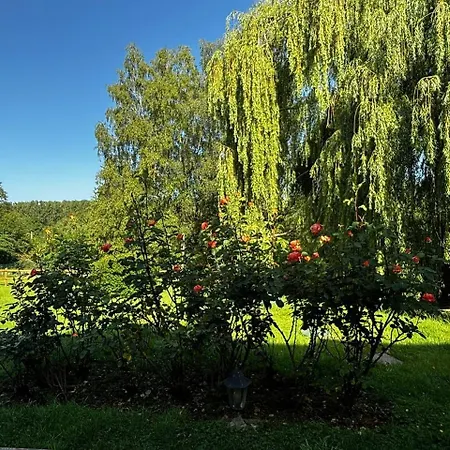 Дом отдыха Maison Normande De Caractere A Colombages